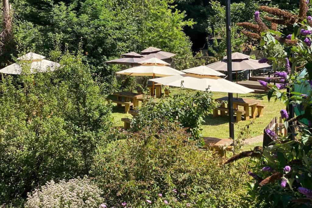 17Th Century Boutique Getaway In The Countryside Martin Mill Exterior foto